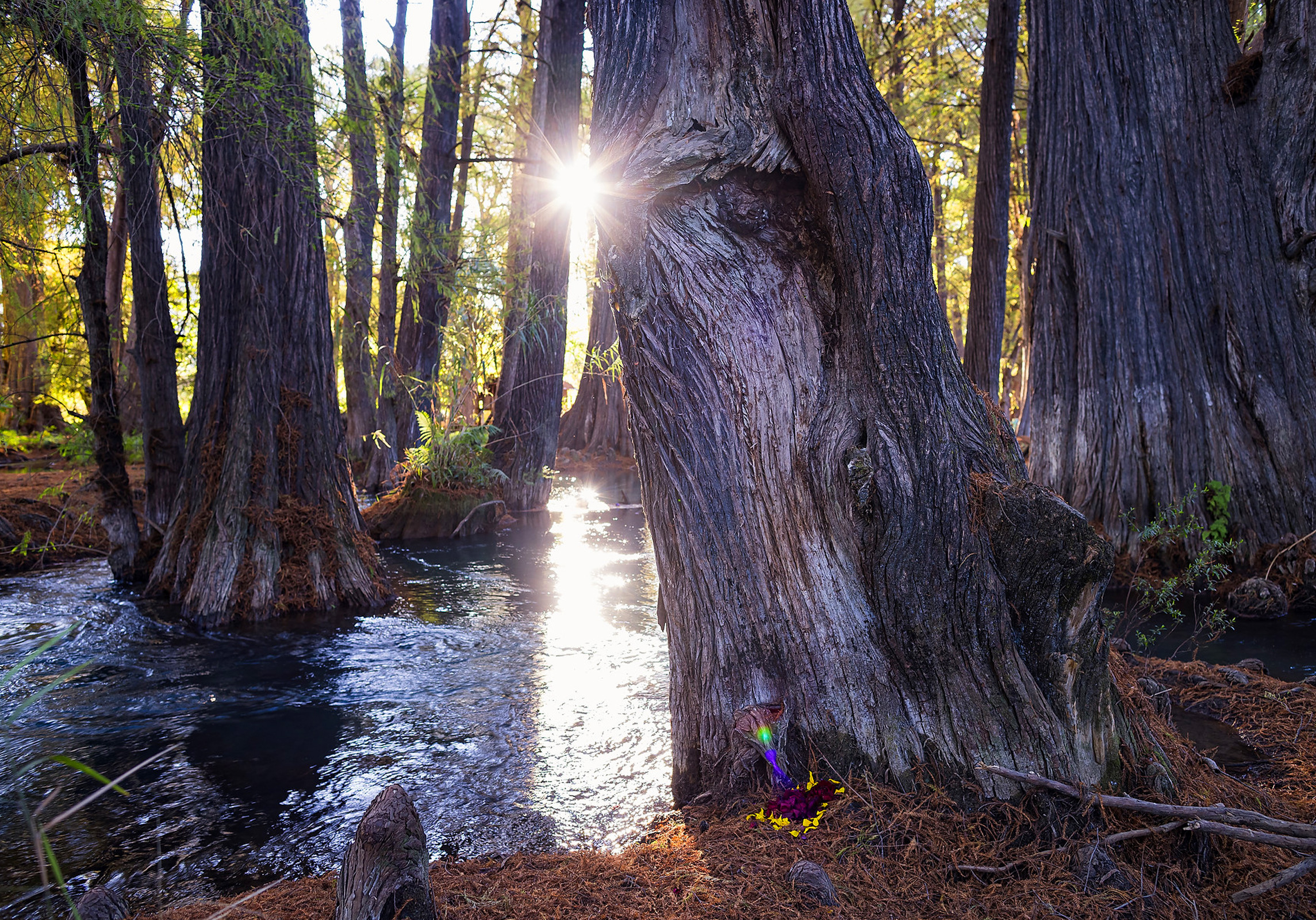 Photographic exploration of natural light