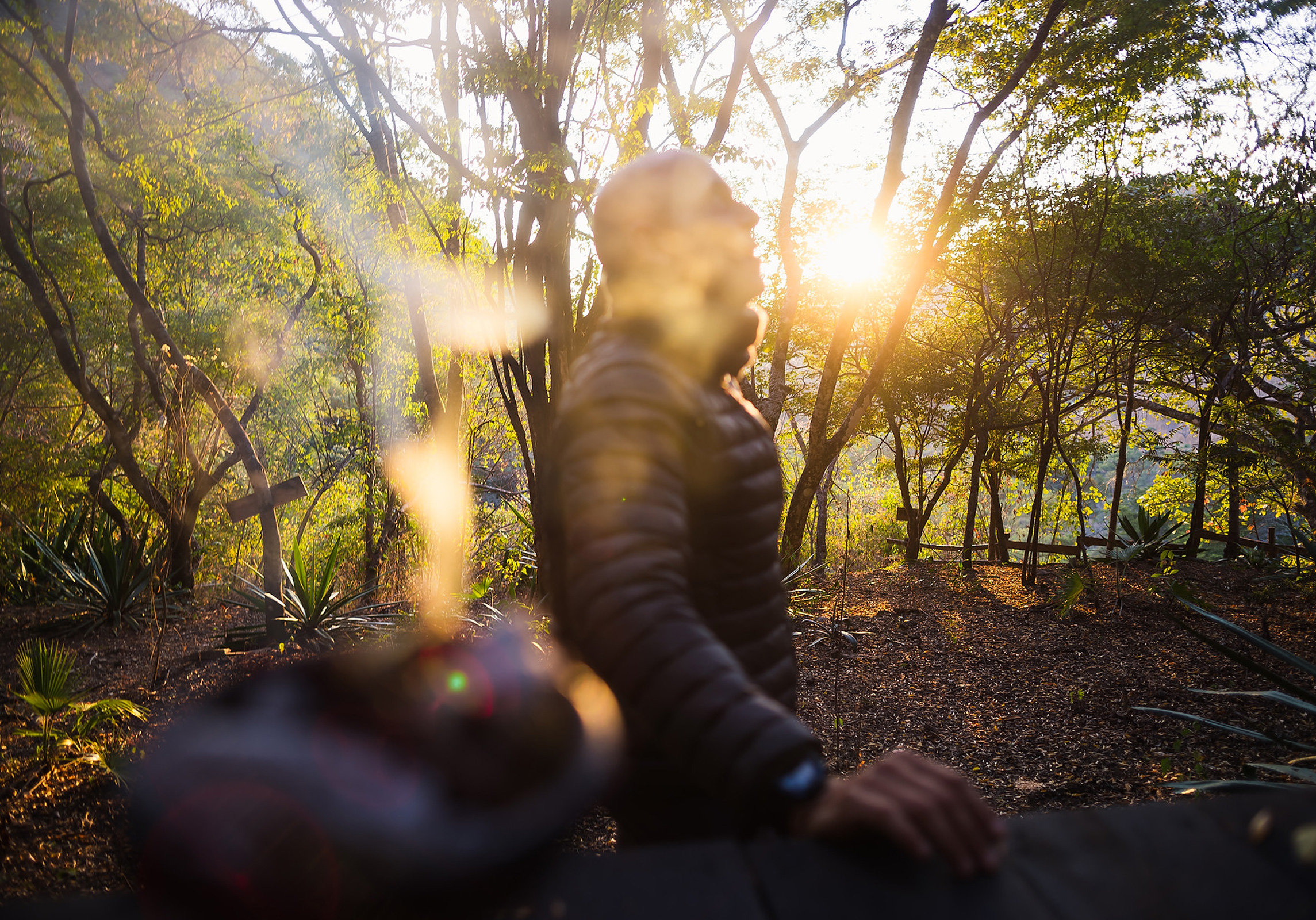 Human presence and photography in nature